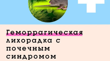 Облкомобразования о профилактике геморрагической лихорадки